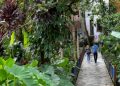 El Triunfo de la Naturaleza Urbana: Corredores Verdes logran reducir la temperatura de Medellín en 3°C
