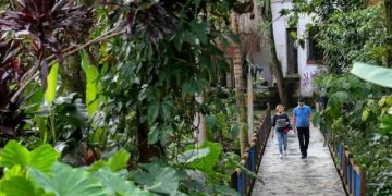 El Triunfo de la Naturaleza Urbana: Corredores Verdes logran reducir la temperatura de Medellín en 3°C