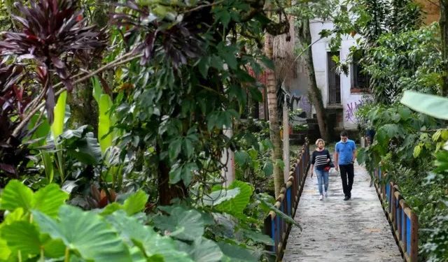 El Triunfo de la Naturaleza Urbana: Corredores Verdes logran reducir la temperatura de Medellín en 3°C