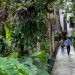 El Triunfo de la Naturaleza Urbana: Corredores Verdes logran reducir la temperatura de Medellín en 3°C